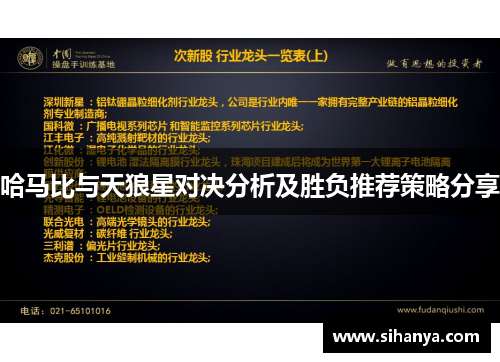 哈马比与天狼星对决分析及胜负推荐策略分享