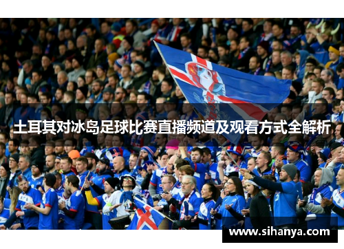 土耳其对冰岛足球比赛直播频道及观看方式全解析