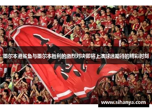 墨尔本港鲨鱼与墨尔本胜利的激烈对决即将上演球迷期待的精彩时刻