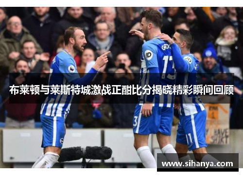 布莱顿与莱斯特城激战正酣比分揭晓精彩瞬间回顾